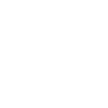 Data Collection Icon